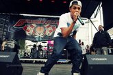 Diggy_s165x110
