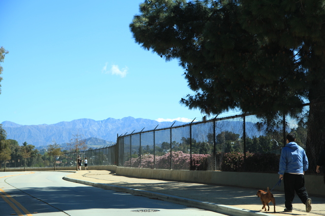 Photo of Silver Lake, Los Angeles