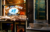 The-dolphins_s159