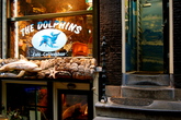 The-dolphins_s165x110