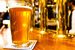 Triple Rock: Firkin-Gravity Beer Festival - Beer Festival in San Francisco