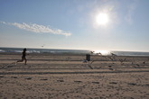 Venice-beach_s165x110