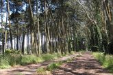 The-presidio_s165x110