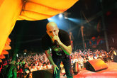 Infected-mushroom_s165x110