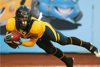 California Golden Bears Football