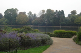 Hyde-park_s159