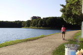 Allston-brighton_s165x110