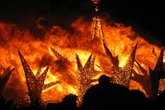 Burning-man_s165x110