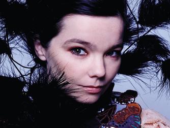 Björk - Concert in New York.