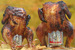 Naptown BarBAYq - Music Festival | Food Festival in Washington, DC