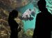 NightLife at the California Academy of Sciences - Culture | Drinking Activity | Event Space | Museum in San Francisco.