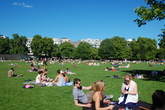 Green Park - Outdoor Activity | Park in London.