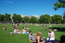 Green Park - Outdoor Activity | Park in London.