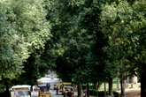 Villa-borghese_s165x110