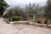 Chianti-region_s165x110
