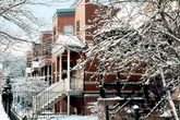 Chicago Winter Delights - Arts Festival | Concert | Music Festival | Performing Arts in Chicago.