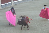 Plaza de Toros de Las Ventas - Bullring | Concert Venue in Madrid.