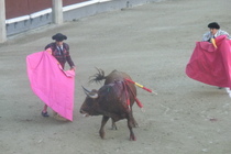 Bullfights-at-las-ventas_s210x140