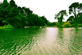 Golden-gate-park_s165x110