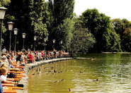 Seehaus im Englischer Garten - Beer Garden | Drinking Activity | Restaurant in Munich.