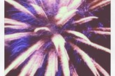7th Annual Redondo Beach Fireworks - Holiday Event | Music Festival | Outdoor Event | Food & Drink Event in LA