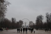 Champs-elysees-8eme_s165x110