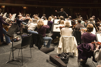 Brighton Philharmonic Orchestra