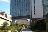 The-high-line_s165x110