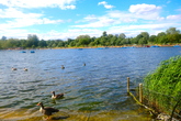 Hyde-park_s165x110