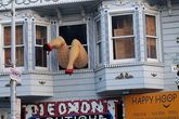 Haight-street_s165x110