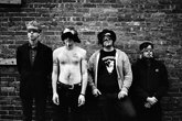 Deer-tick_s165x110