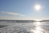 Venice-beach_s165x110
