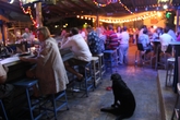 Cantina-marina_s165x110