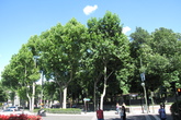 El-parque-del-buen-retiro_s165x110