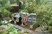 Conservatory of Flowers - Park | Landmark | Museum | Event Space | Tour in San Francisco.