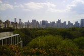 The-met-roof-garden-cafe-and-martini-bar_s165x110