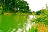 Golden-gate-park_s165x110