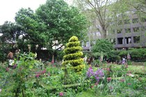Open Garden Squares Weekend - Special Event | Outdoor Event in London.