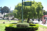 Washington-square_s165x110