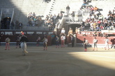 Bullfights-at-las-ventas_s165x110