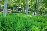 Battery-park_s165x110