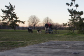 Gravelly-point-park_s165x110