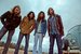 The Sheepdogs 