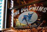 The Dolphins - Coffeeshop in Amsterdam.