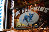 The-dolphins_s159