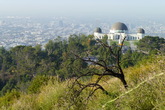 Griffith-park_s165x110