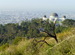 Griffith Park - Concert Venue | Landmark | Outdoor Activity | Park in Los Angeles.