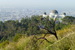 Griffith Park - Concert Venue | Landmark | Outdoor Activity | Park in Los Angeles.