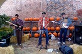 A Day In The Country - Music Festival in Chicago
