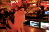 De Dampkring - Coffeeshop in Amsterdam.